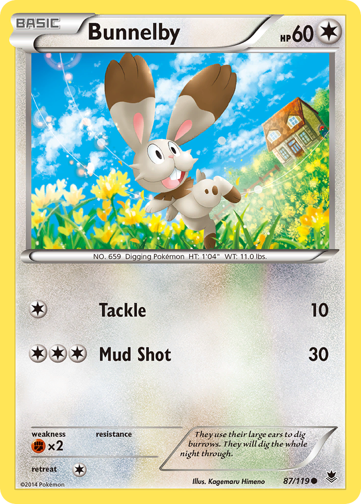 Bunnelby (87/119) [XY: Phantom Forces] | Dragon's Lair Comics and Fantasy Houston TX