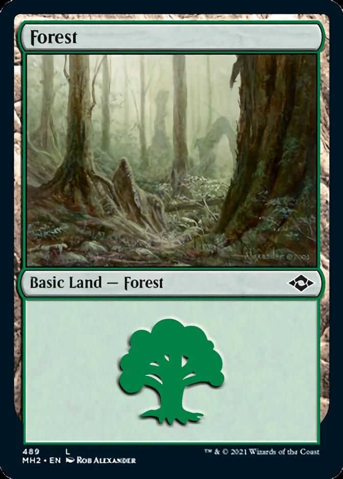 Forest (489) [Modern Horizons 2] | Dragon's Lair Comics and Fantasy Houston TX