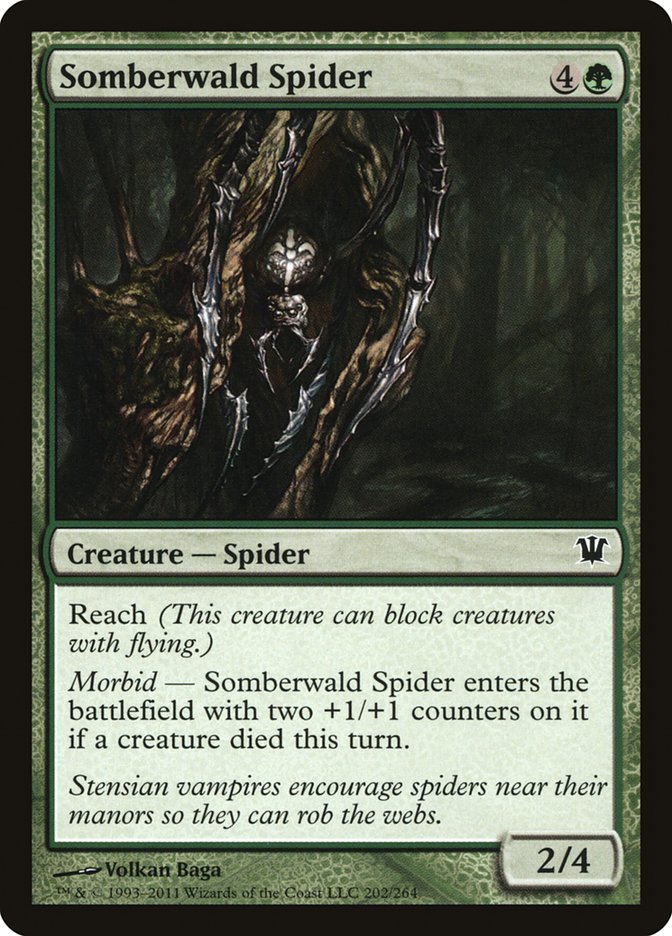 Somberwald Spider [Innistrad] | Dragon's Lair Comics and Fantasy Houston TX