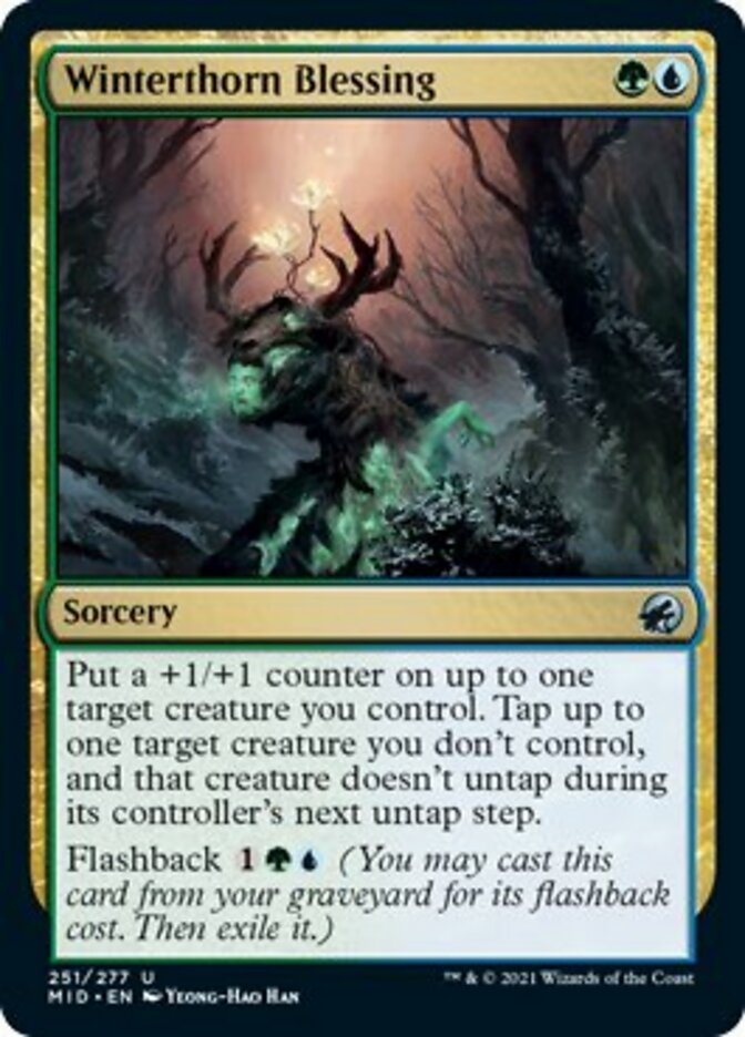 Winterthorn Blessing [Innistrad: Midnight Hunt] | Dragon's Lair Comics and Fantasy Houston TX