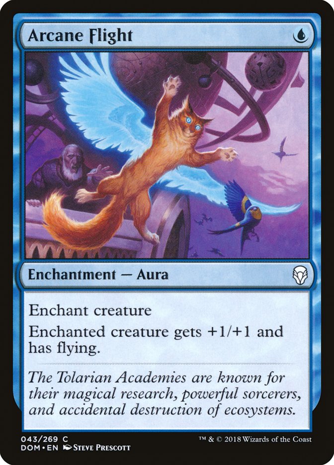 Arcane Flight [Dominaria] | Dragon's Lair Comics and Fantasy Houston TX