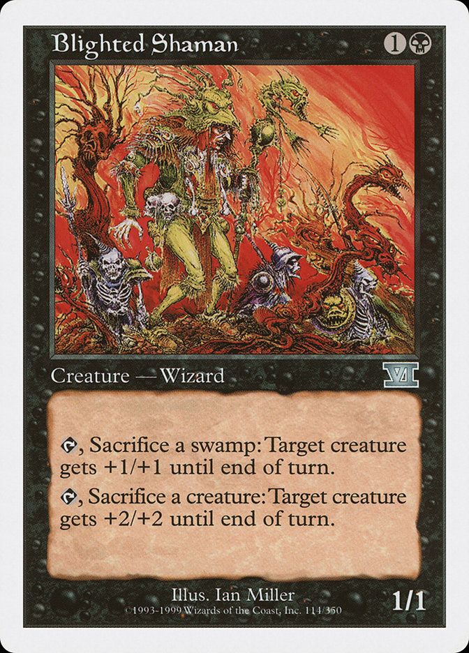 Blighted Shaman [Classic Sixth Edition] | Dragon's Lair Comics and Fantasy Houston TX