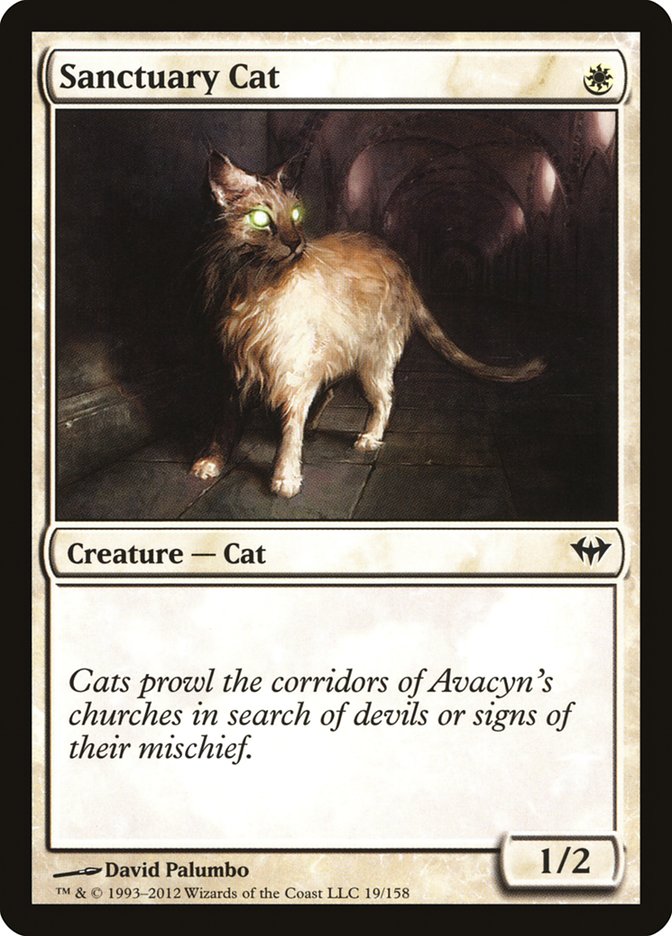 Sanctuary Cat [Dark Ascension] | Dragon's Lair Comics and Fantasy Houston TX