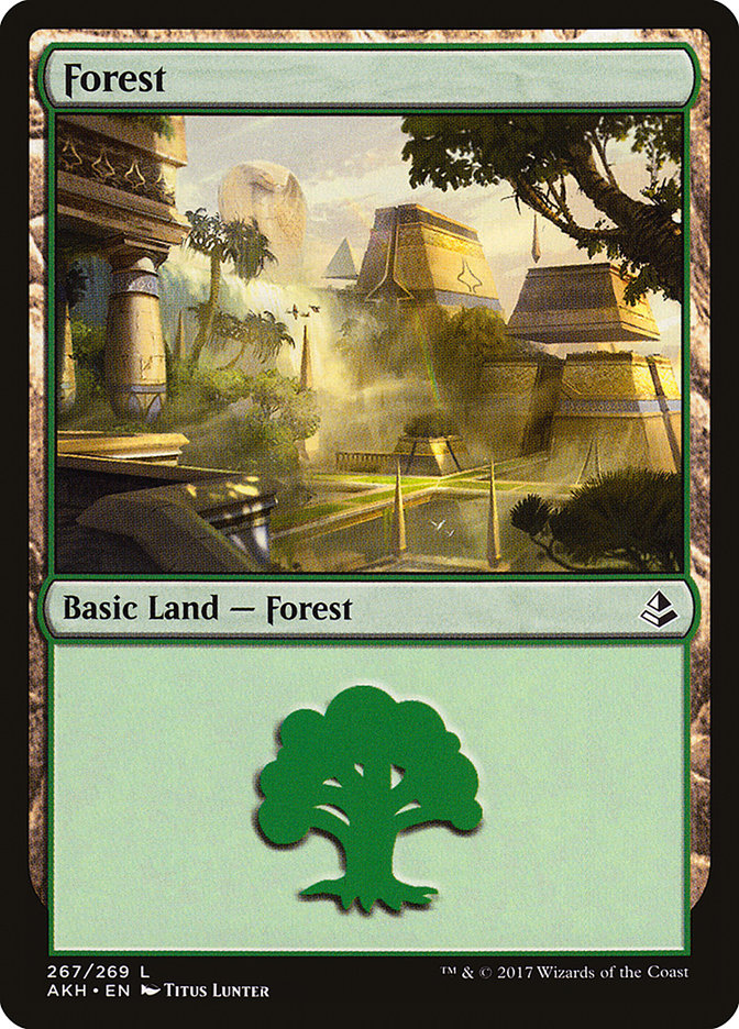 Forest (267) [Amonkhet] | Dragon's Lair Comics and Fantasy Houston TX