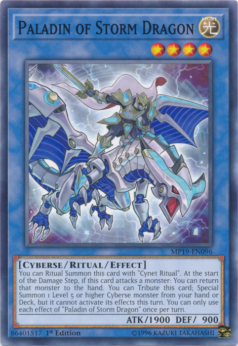 Paladin of Storm Dragon [MP19-EN096] Common | Dragon's Lair Comics and Fantasy Houston TX