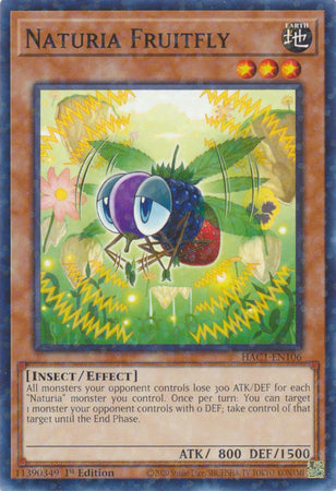 Naturia Fruitfly (Duel Terminal) [HAC1-EN106] Common | Dragon's Lair Comics and Fantasy Houston TX