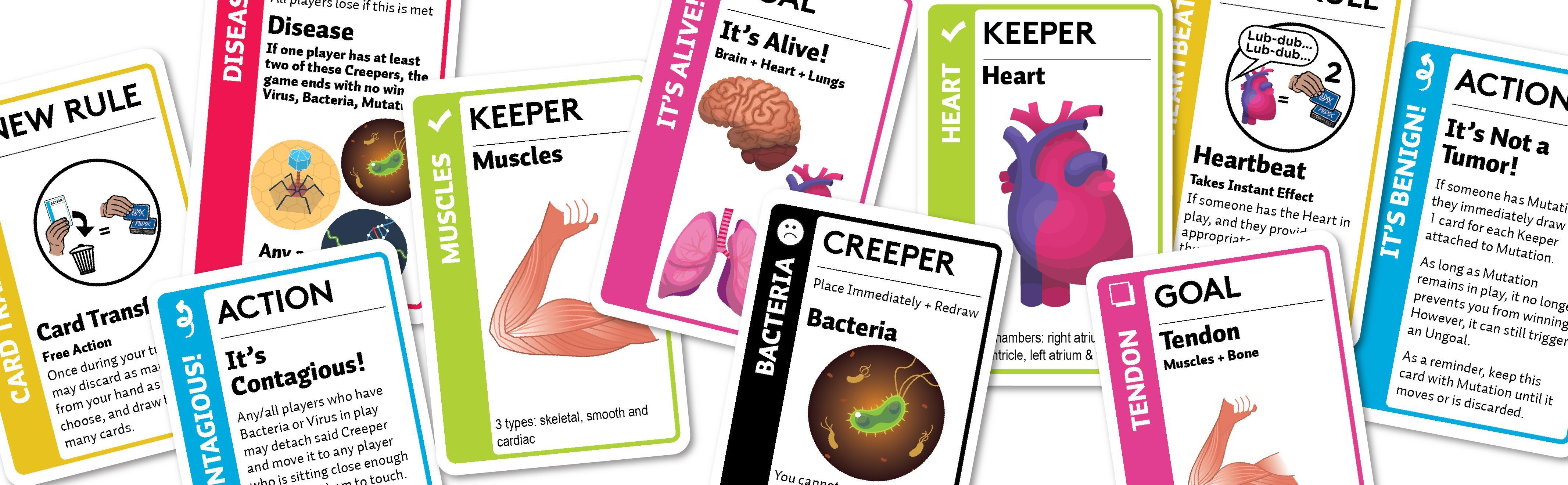 Fluxx: Anatomy | Dragon's Lair Comics and Fantasy Houston TX