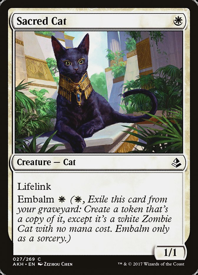 Sacred Cat [Amonkhet] | Dragon's Lair Comics and Fantasy Houston TX