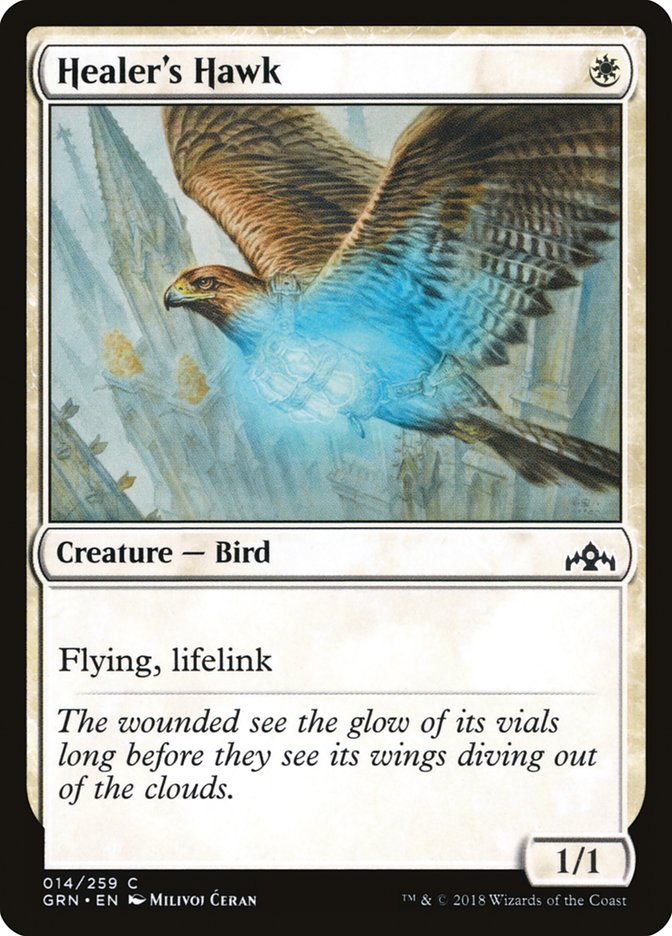 Healer's Hawk [Guilds of Ravnica] | Dragon's Lair Comics and Fantasy Houston TX