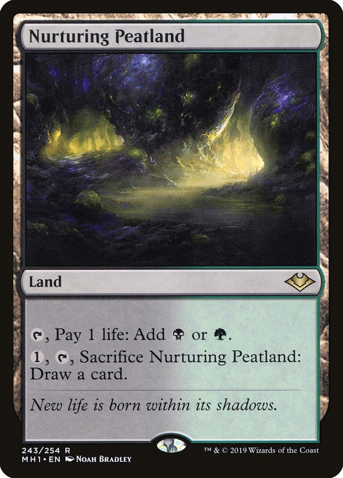 Nurturing Peatland [Modern Horizons] | Dragon's Lair Comics and Fantasy Houston TX