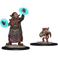 Wizkids Wardlings: W1 Boy Wizard & Imp | Dragon's Lair Comics and Fantasy Houston TX