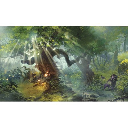 Legion Playmat: Lands - Forest | Dragon's Lair Comics and Fantasy Houston TX