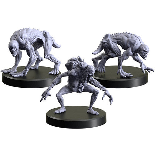 The Witcher RPG Miniatures: Necrophages 3 - Ghoul 1, Grave Hag, Ghoul 2 | Odin's Place