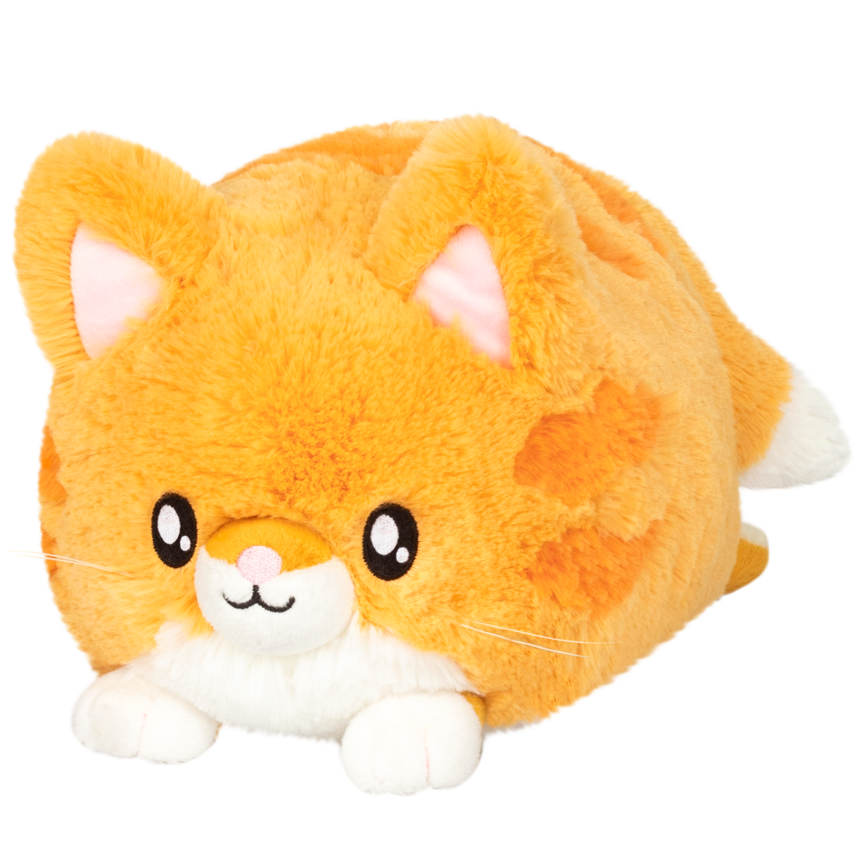 Mini Squishable Kitty (7") | Dragon's Lair Comics and Fantasy Houston TX