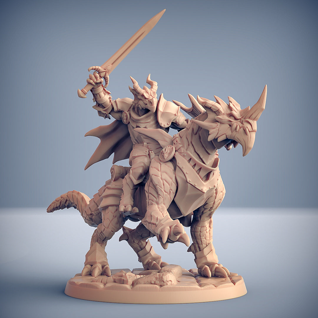 Dragon's Lair Printed Mini: The Dragonguard Set | Odin's Place