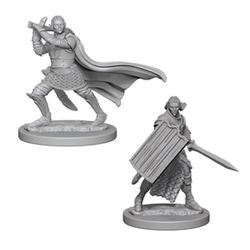 Wizkids Pathfinder: DEEP CUTS UNPAINTED MINIATURES -W2-MALE ELF PALADIN | Dragon's Lair Comics and Fantasy Houston TX